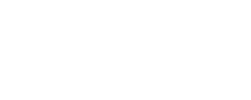 28-Vivo